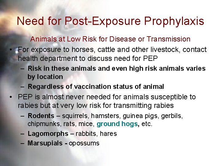 Need for Post-Exposure Prophylaxis Animals at Low Risk for Disease or Transmission • For