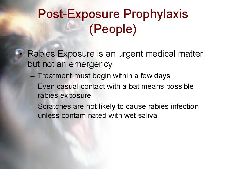 Post-Exposure Prophylaxis (People) • Rabies Exposure is an urgent medical matter, but not an