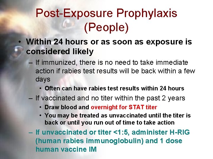 Post-Exposure Prophylaxis (People) • Within 24 hours or as soon as exposure is considered