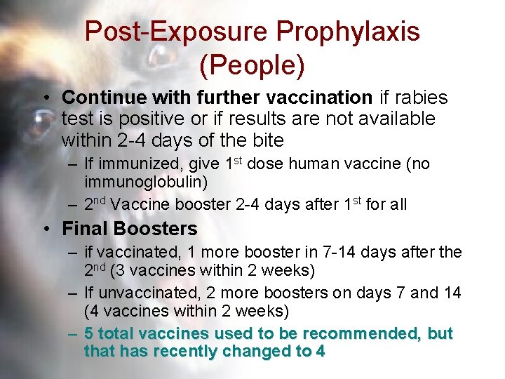 Post-Exposure Prophylaxis (People) • Continue with further vaccination if rabies test is positive or