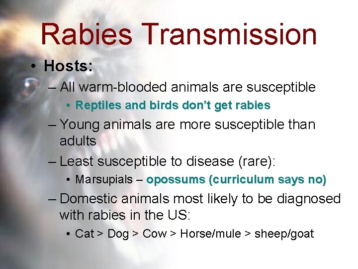 Rabies Transmission • Hosts: – All warm-blooded animals are susceptible • Reptiles and birds