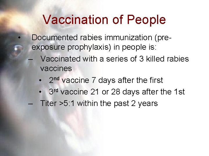 Vaccination of People • Documented rabies immunization (preexposure prophylaxis) in people is: – Vaccinated