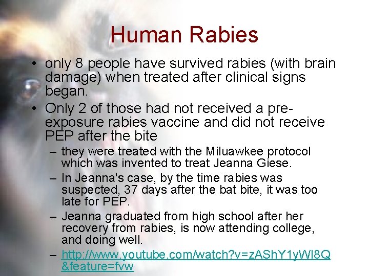 Human Rabies • only 8 people have survived rabies (with brain damage) when treated