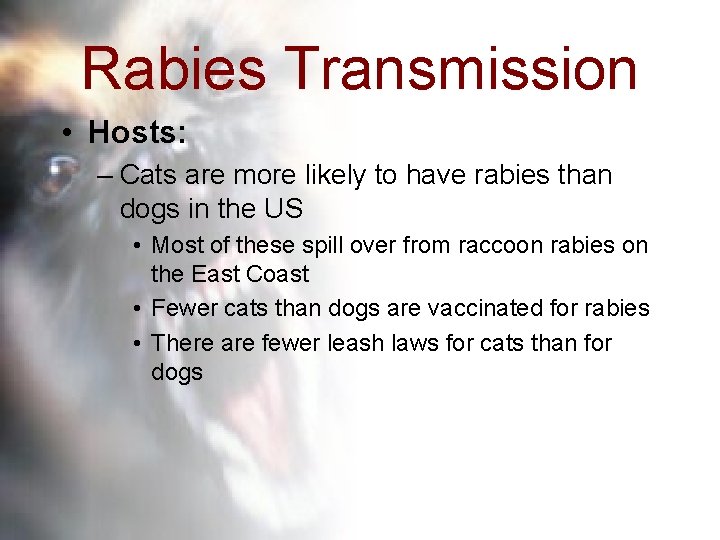 Rabies Transmission • Hosts: – Cats are more likely to have rabies than dogs