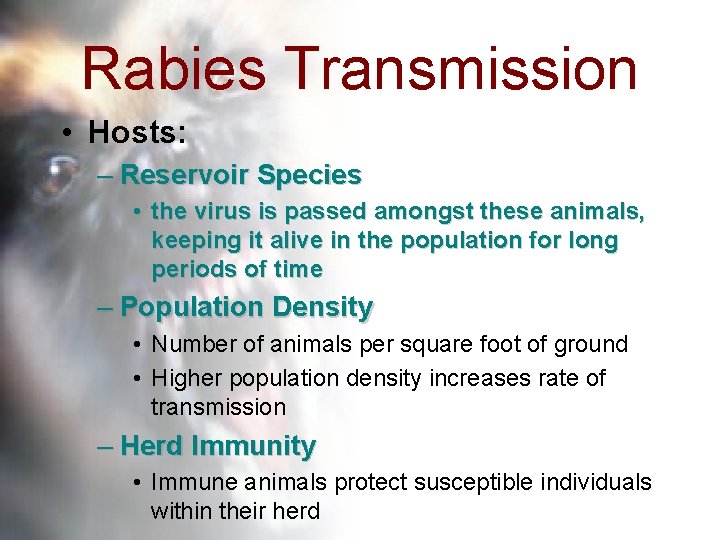 Rabies Transmission • Hosts: – Reservoir Species • the virus is passed amongst these