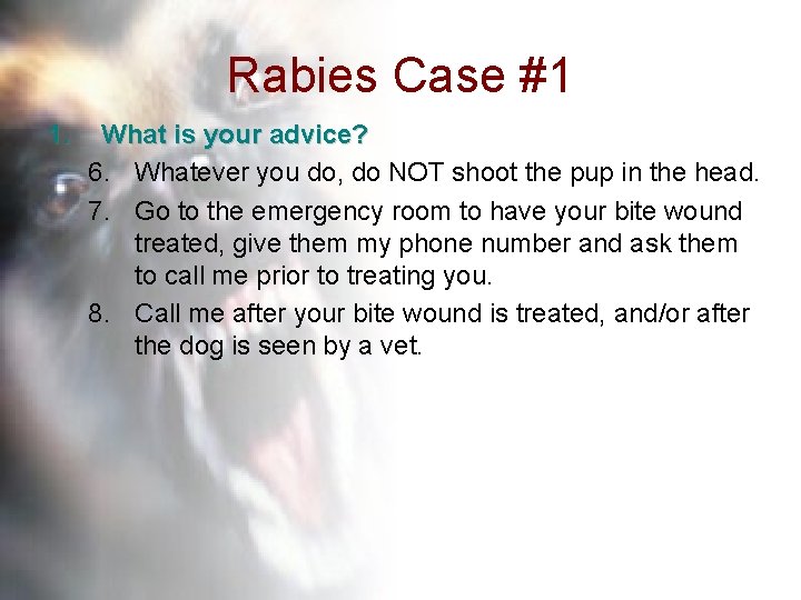 Rabies Case #1 1. What is your advice? 6. Whatever you do, do NOT