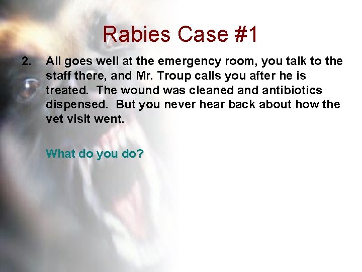 Rabies Case #1 2. All goes well at the emergency room, you talk to