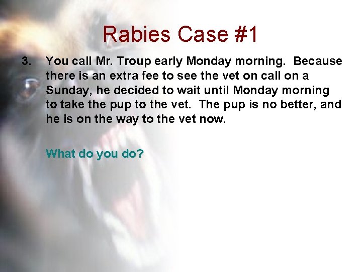 Rabies Case #1 3. You call Mr. Troup early Monday morning. Because there is