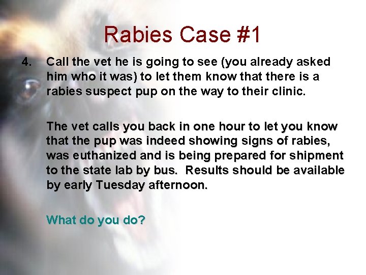 Rabies Case #1 4. Call the vet he is going to see (you already