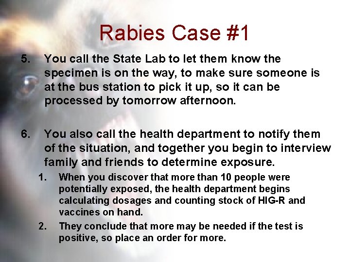 Rabies Case #1 5. You call the State Lab to let them know the