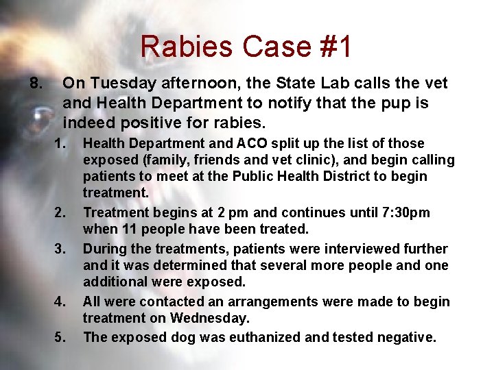 Rabies Case #1 8. On Tuesday afternoon, the State Lab calls the vet and