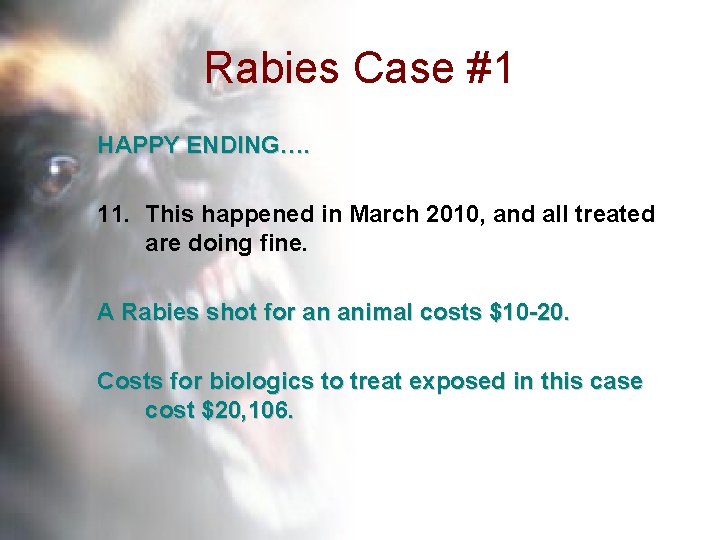 Rabies Case #1 HAPPY ENDING…. 11. This happened in March 2010, and all treated