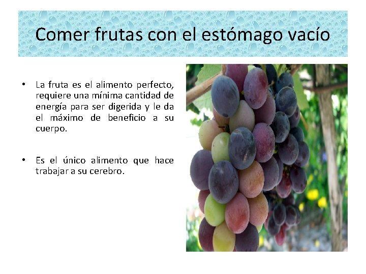 Comer frutas con el estómago vacío • La fruta es el alimento perfecto, requiere