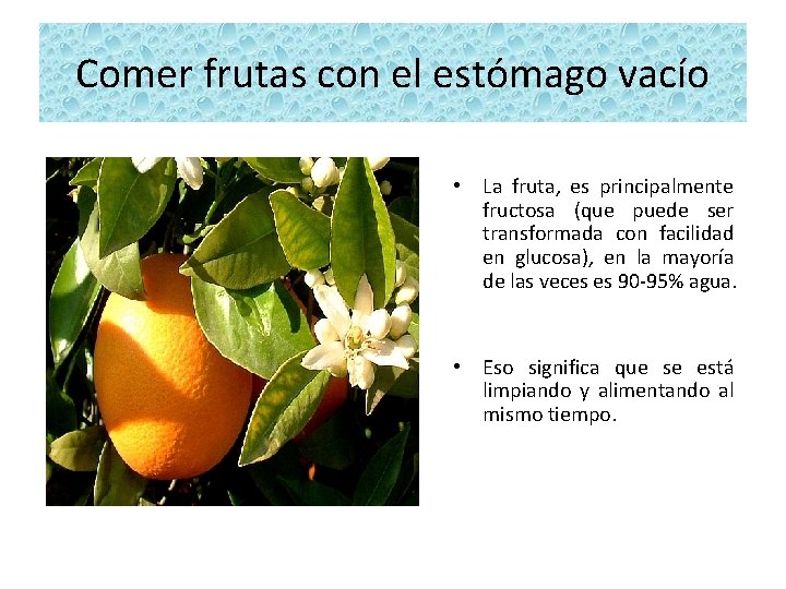 Comer frutas con el estómago vacío • La fruta, es principalmente fructosa (que puede
