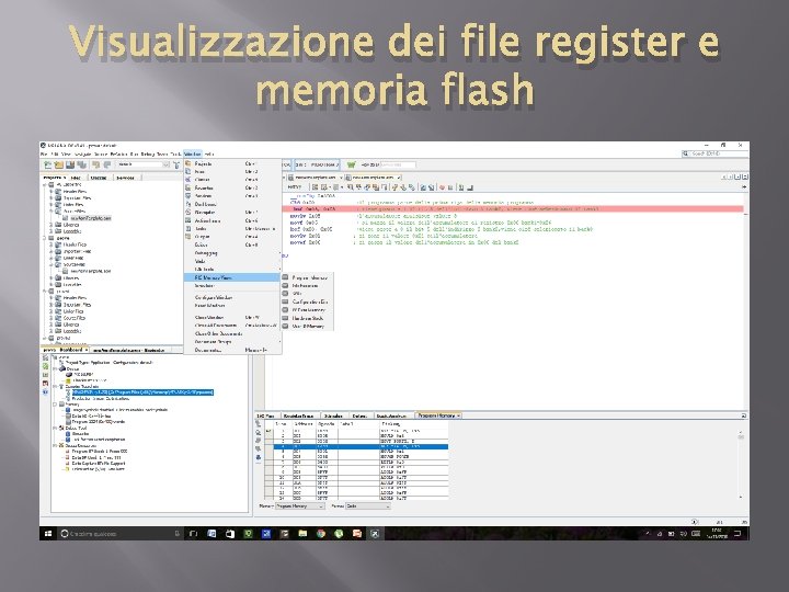 Visualizzazione dei file register e memoria flash 