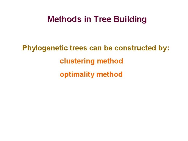 Methods in Tree Building Phylogenetic trees can be constructed by: clustering method optimality method