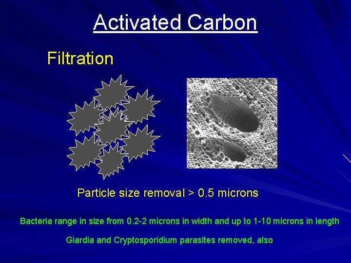 Activated Carbon Filtration Particle size removal > 0. 5 microns Bacteria range in size