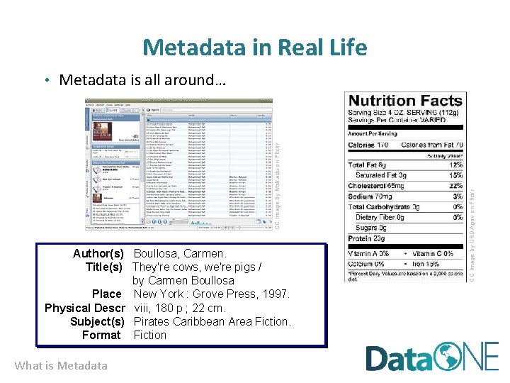 Metadata in Real Life Author(s) Boullosa, Carmen. Title(s) They're cows, we're pigs / by