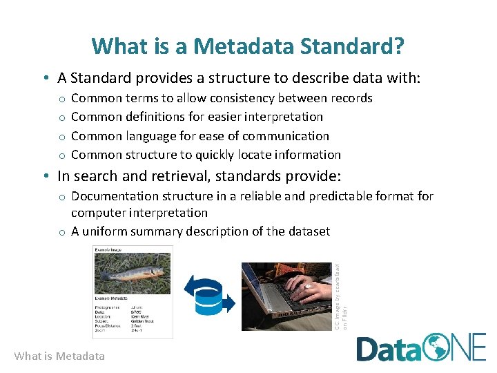 What is a Metadata Standard? • A Standard provides a structure to describe data