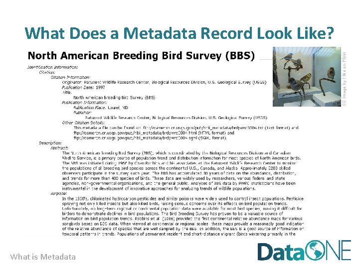 CC image by I like on Flickr What Does a Metadata Record Look Like?