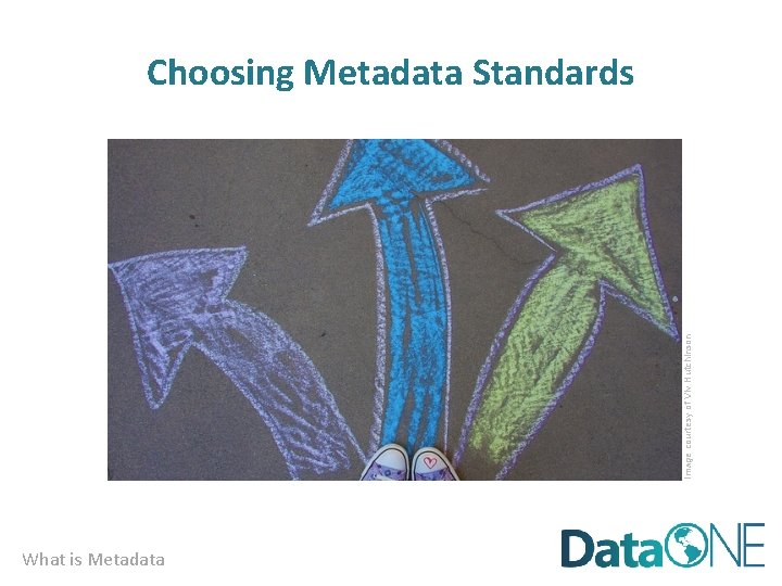 Image courtesy of Viv Hutchinson Choosing Metadata Standards What is Metadata 