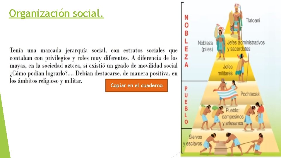 Organización social. Copiar en el cuaderno 
