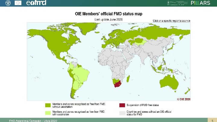 FMD Awareness Campaign – Libya 2020 