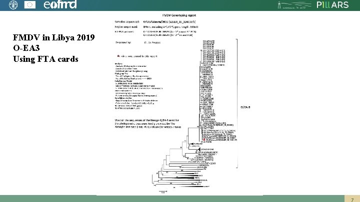 FMDV in Libya 2019 O-EA 3 Using FTA cards 