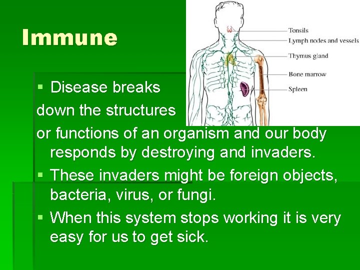 Immune § Disease breaks down the structures or functions of an organism and our