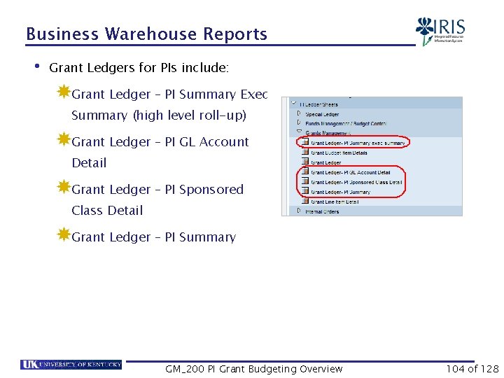 Business Warehouse Reports • Grant Ledgers for PIs include: Grant Ledger – PI Summary