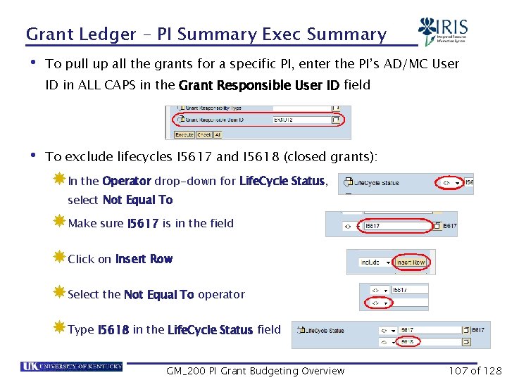 Grant Ledger – PI Summary Exec Summary • To pull up all the grants