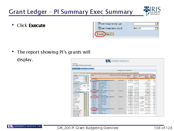 Grant Ledger – PI Summary Exec Summary • Click Execute • The report showing