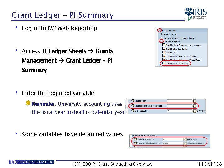 Grant Ledger – PI Summary • Log onto BW Web Reporting • Access FI
