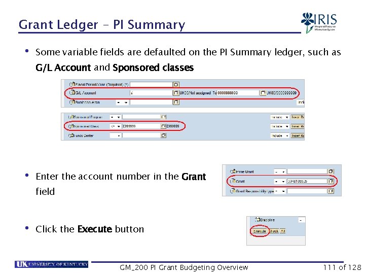 Grant Ledger – PI Summary • Some variable fields are defaulted on the PI