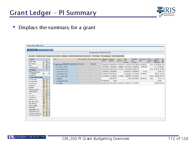 Grant Ledger – PI Summary • Displays the summary for a grant GM_200 PI