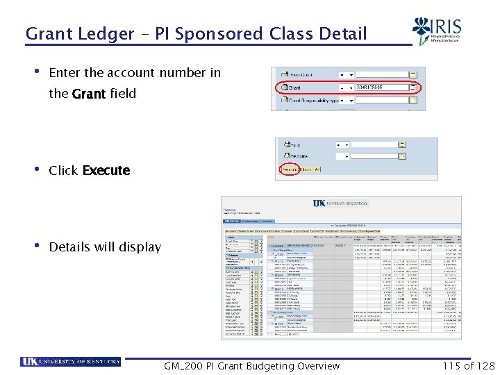 Grant Ledger – PI Sponsored Class Detail • Enter the account number in the