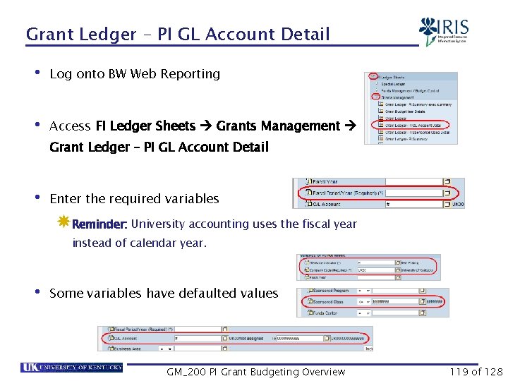 Grant Ledger – PI GL Account Detail • Log onto BW Web Reporting •