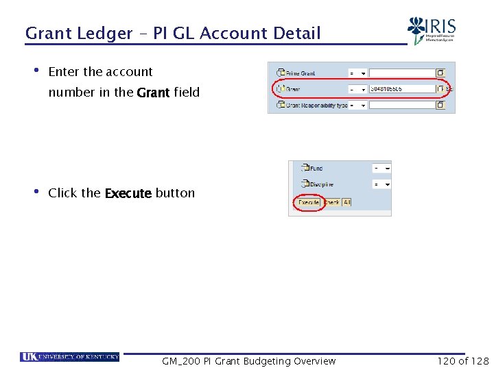 Grant Ledger – PI GL Account Detail • Enter the account number in the