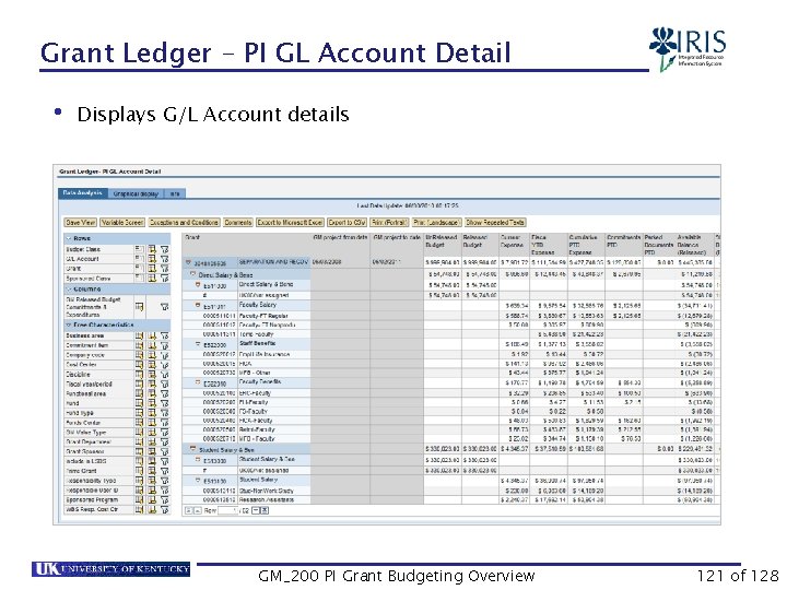 Grant Ledger – PI GL Account Detail • Displays G/L Account details GM_200 PI