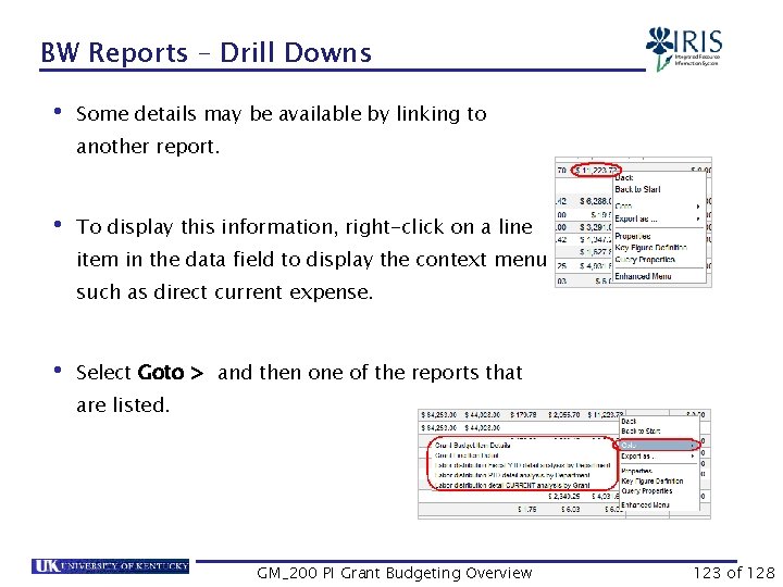 BW Reports – Drill Downs • Some details may be available by linking to