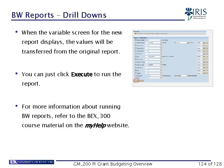 BW Reports – Drill Downs • When the variable screen for the new report