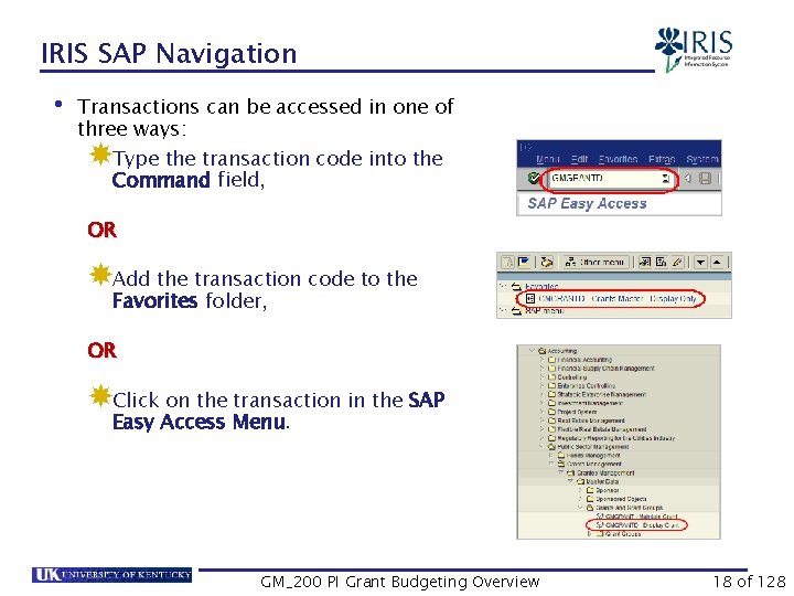 IRIS SAP Navigation • Transactions can be accessed in one of three ways: Type