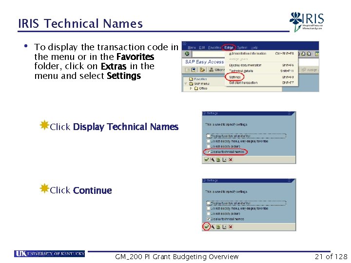 IRIS Technical Names • To display the transaction code in the menu or in