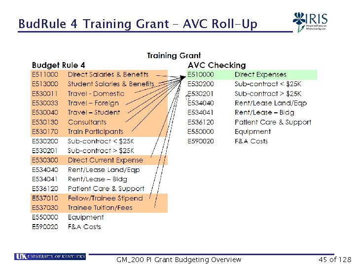 Bud. Rule 4 Training Grant – AVC Roll-Up GM_200 PI Grant Budgeting Overview 45