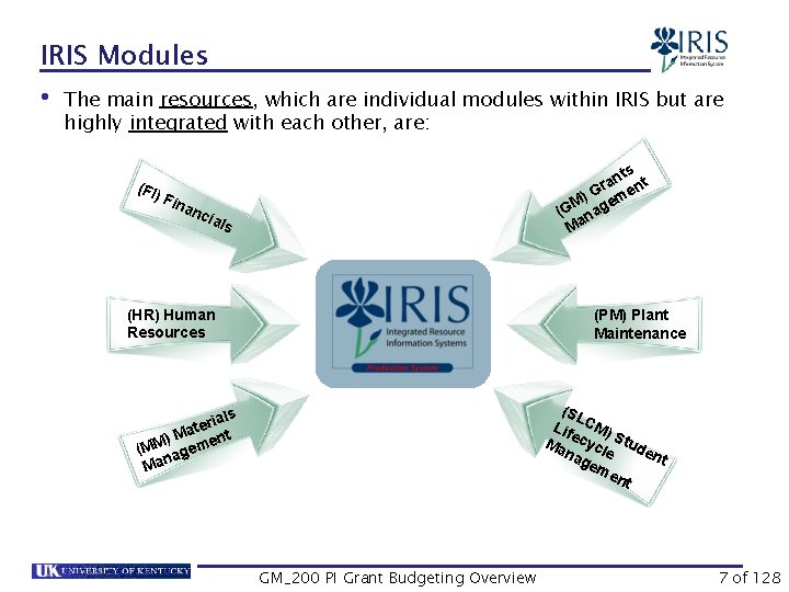 IRIS Modules • The main resources, which are individual modules within IRIS but are