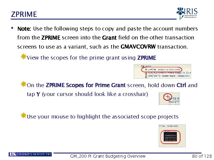 ZPRIME • Note: Use the following steps to copy and paste the account numbers