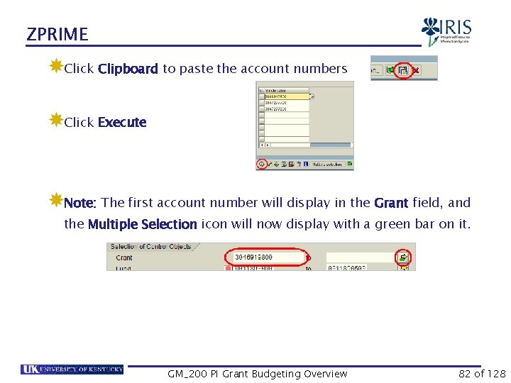 ZPRIME Click Clipboard to paste the account numbers Click Execute Note: The first account