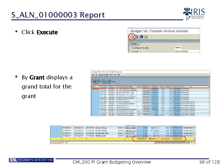 S_ALN_01000003 Report • Click Execute • By Grant displays a grand total for the