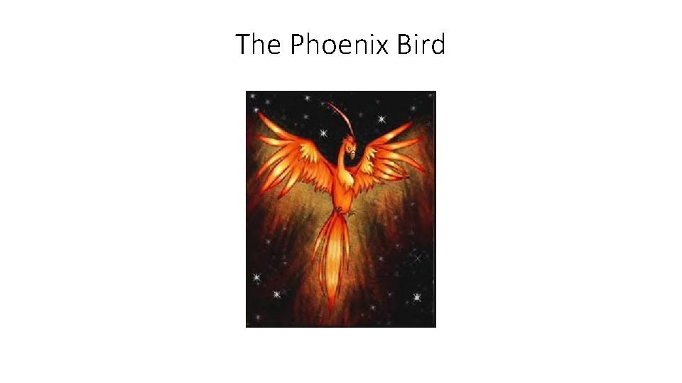 The Phoenix Bird 