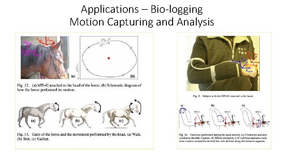Applications – Bio-logging Motion Capturing and Analysis 